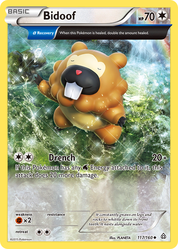 Bidoof (117/160) [XY: Primal Clash] | Card Merchant Takapuna