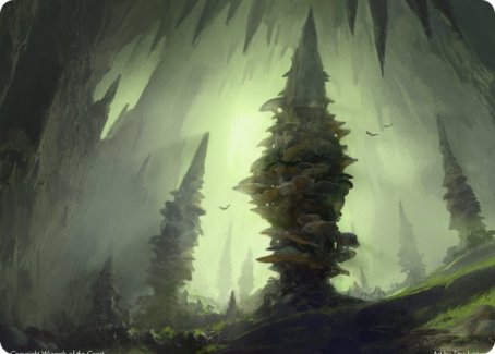 Forest (280) Art Card [Dungeons & Dragons: Adventures in the Forgotten Realms Art Series] | Card Merchant Takapuna