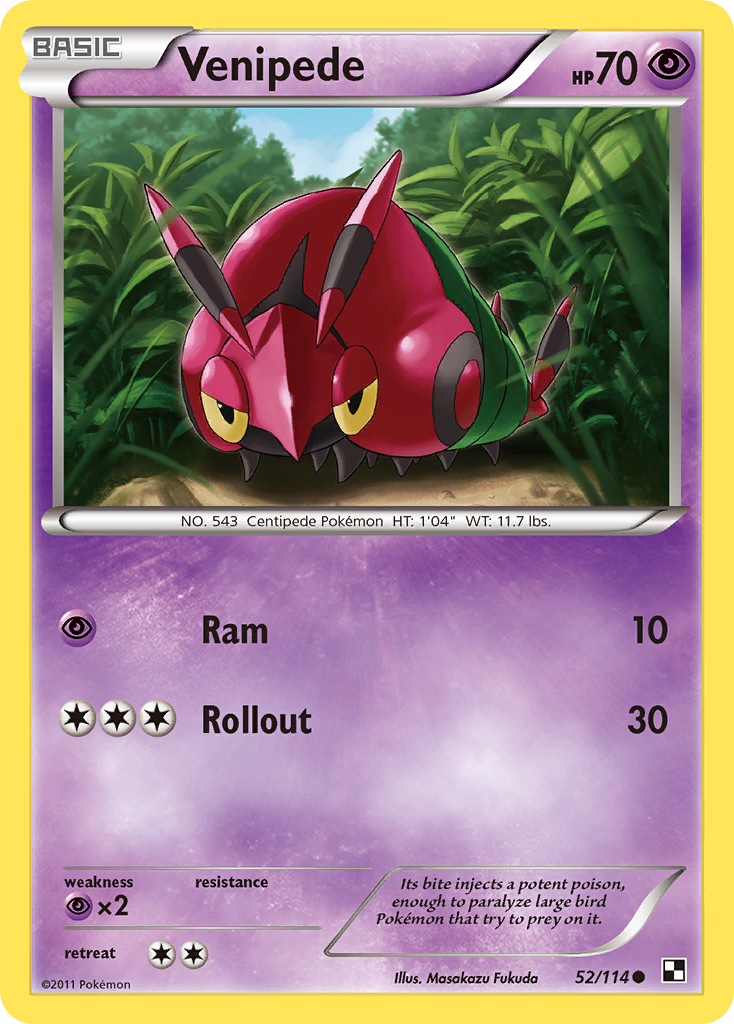 Venipede (52/114) [Black & White: Base Set] | Card Merchant Takapuna