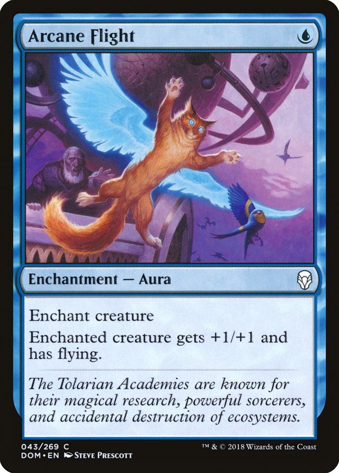 Arcane Flight [Dominaria] | Card Merchant Takapuna