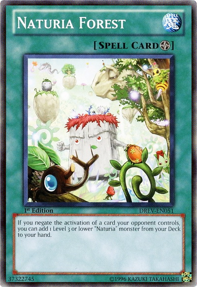 Naturia Forest [DREV-EN051] Common | Card Merchant Takapuna