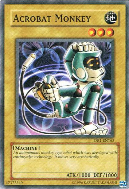 Acrobat Monkey [DR1-EN165] Common | Card Merchant Takapuna