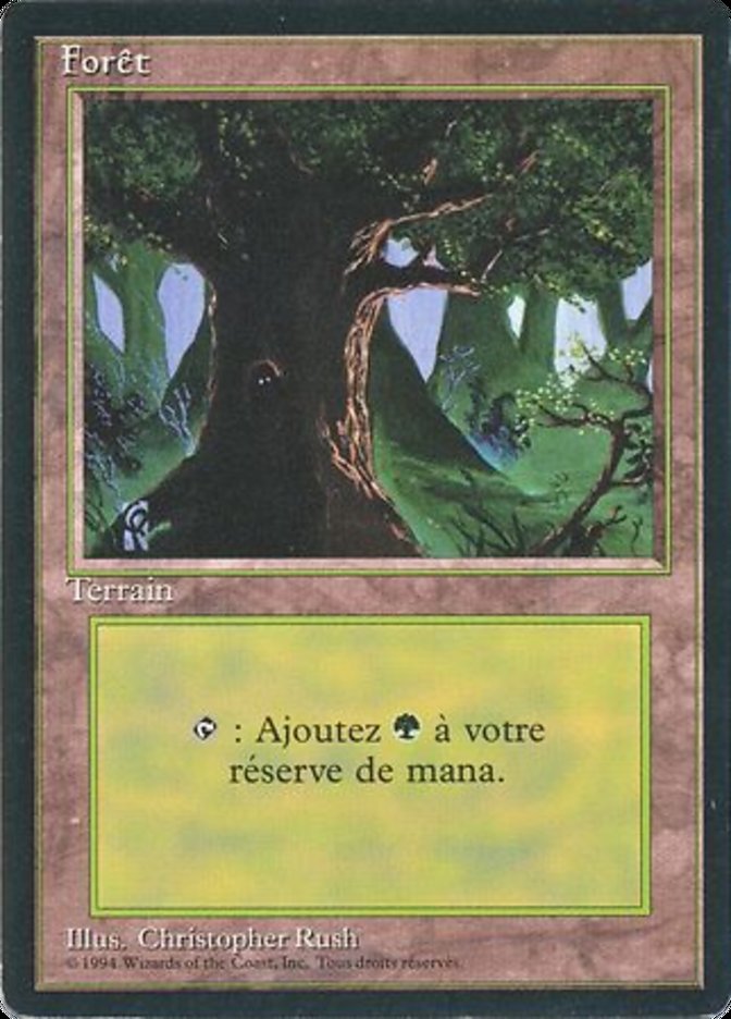 Forest (C) [Foreign Black Border] | Card Merchant Takapuna