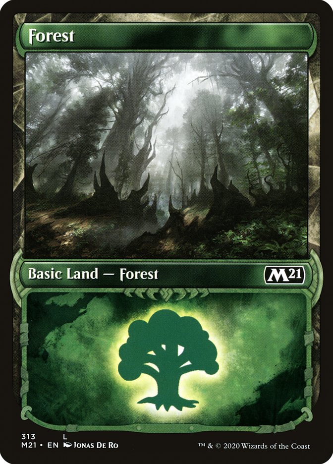 Forest (313) (Showcase) [Core Set 2021] | Card Merchant Takapuna