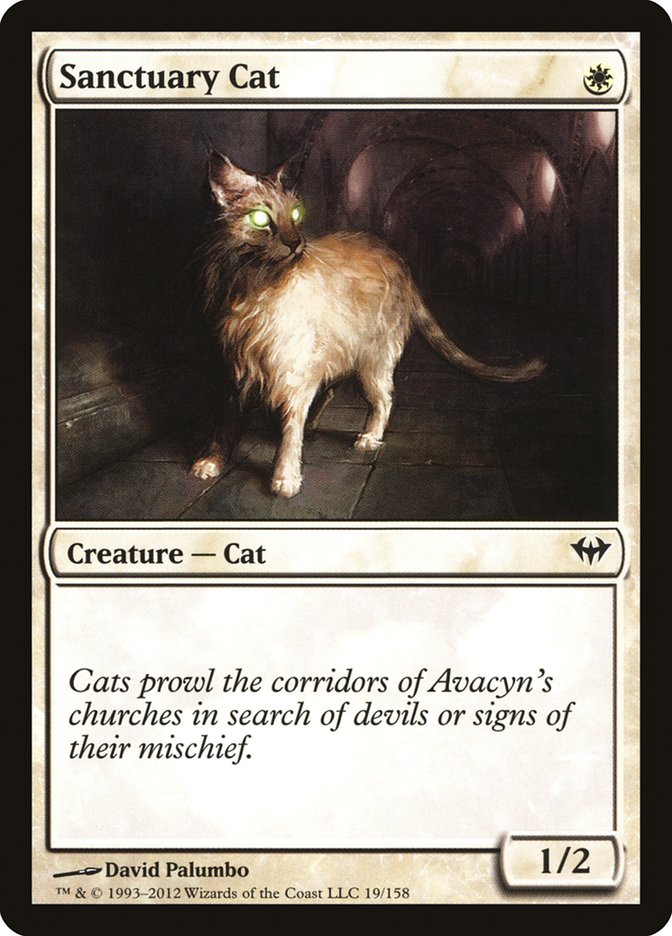 Sanctuary Cat [Dark Ascension] | Card Merchant Takapuna