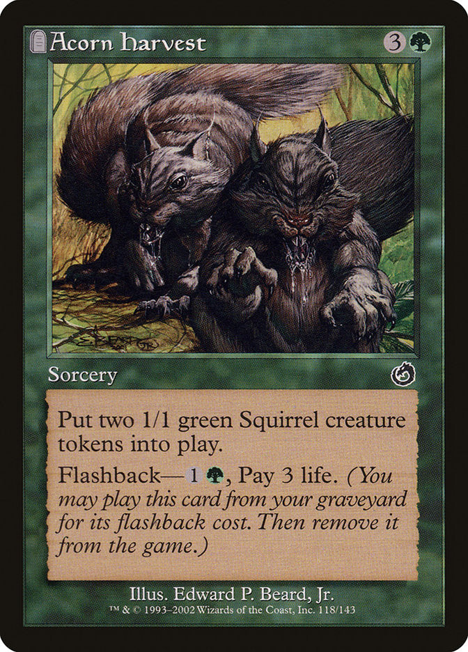 Acorn Harvest [Torment] | Card Merchant Takapuna