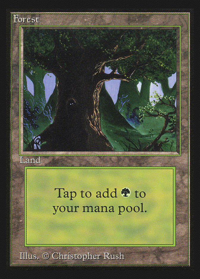 Forest (Eyes in Tree) [International Collectors' Edition] | Card Merchant Takapuna