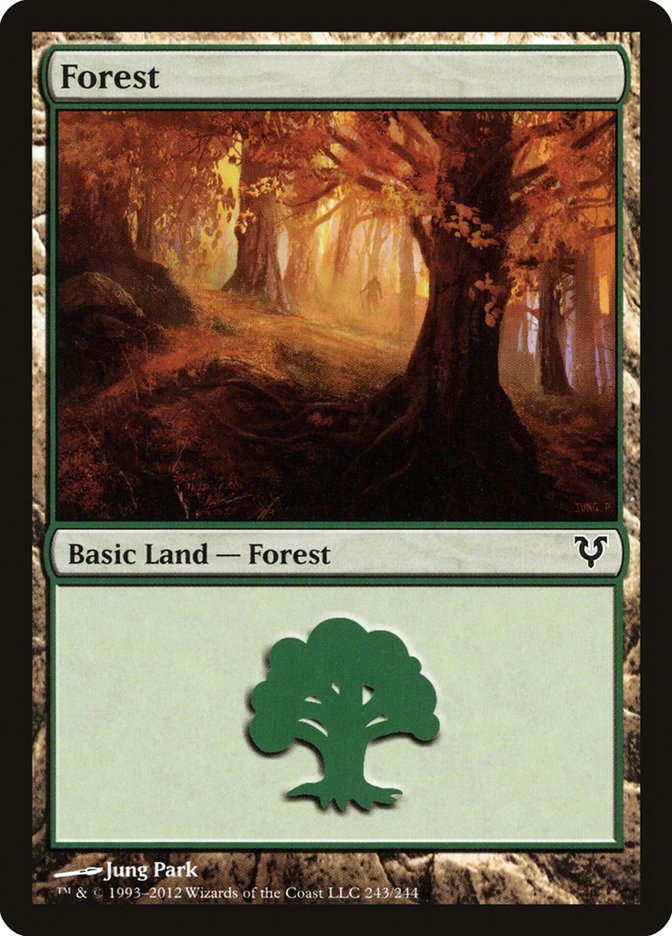 Forest (243) [Avacyn Restored] | Card Merchant Takapuna