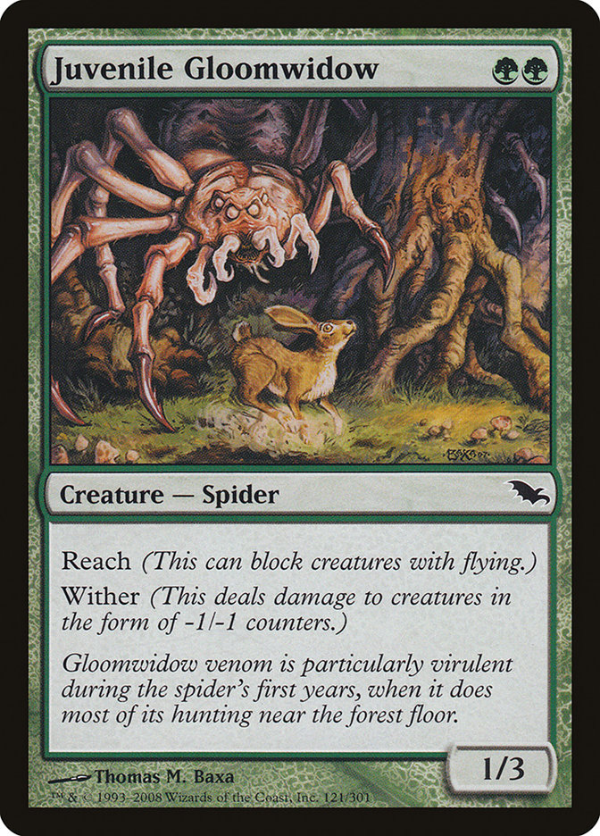 Juvenile Gloomwidow [Shadowmoor] | Card Merchant Takapuna