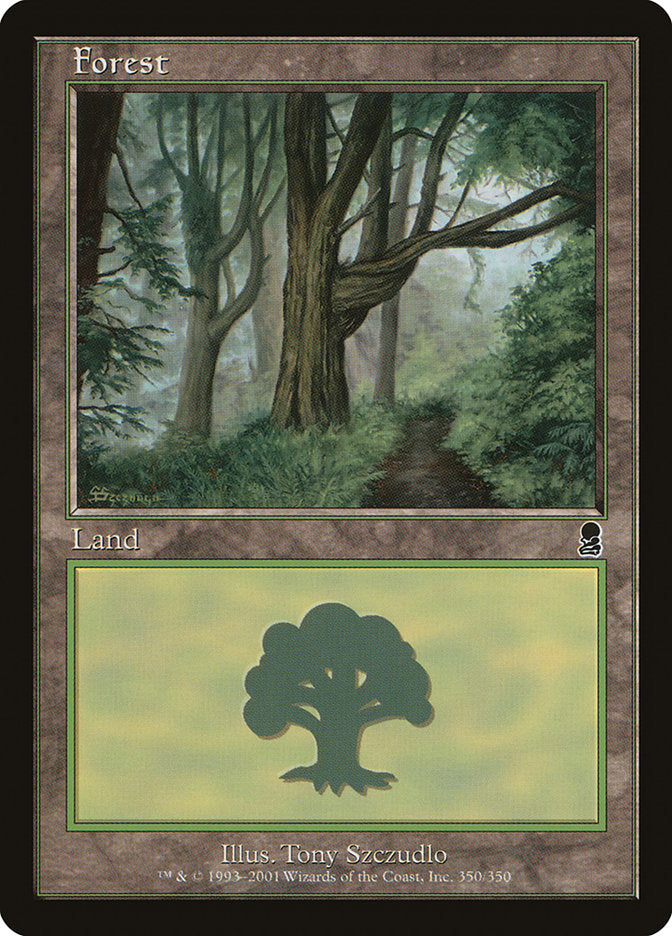 Forest (350) [Odyssey] | Card Merchant Takapuna