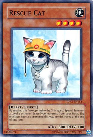 Rescue Cat [DR3-EN153] Common | Card Merchant Takapuna