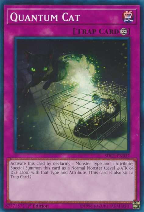 Quantum Cat [SDCL-EN037] Common | Card Merchant Takapuna