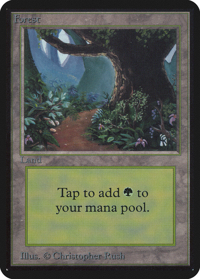 Forest (295) [Alpha Edition] | Card Merchant Takapuna