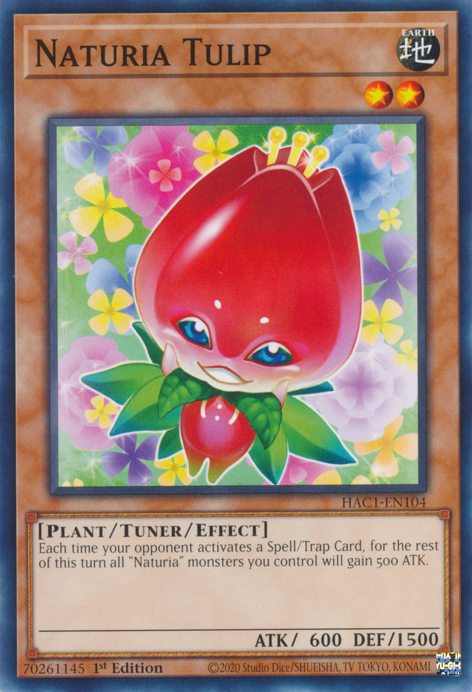 Naturia Tulip [HAC1-EN104] Common | Card Merchant Takapuna