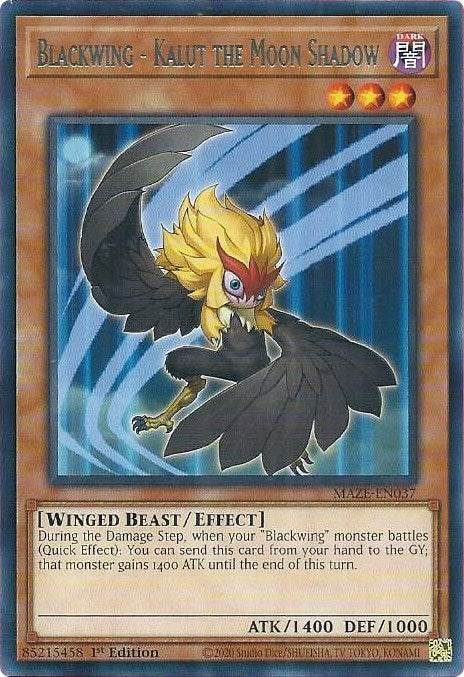 Blackwing - Kalut the Moon Shadow [MAZE-EN037] Rare | Card Merchant Takapuna