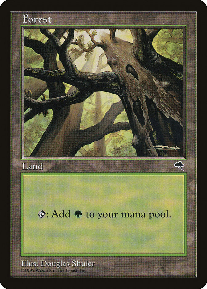 Forest (Looking from Below) [Tempest] | Card Merchant Takapuna