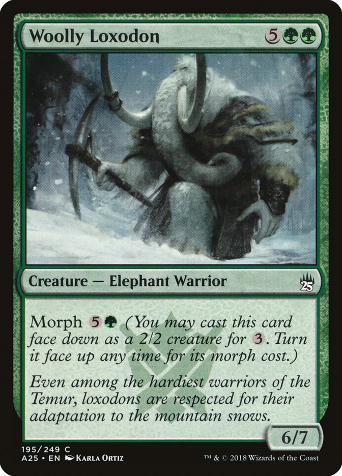 Woolly Loxodon [Masters 25] | Card Merchant Takapuna