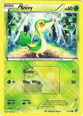 Snivy (1/114) (League Promo) [Black & White: Base Set] | Card Merchant Takapuna