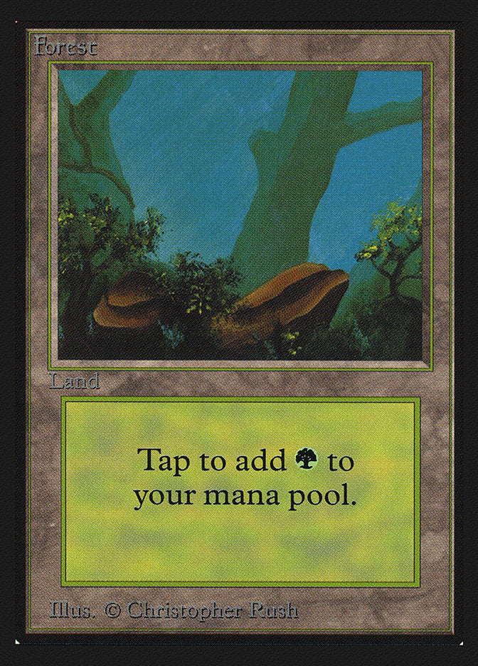 Forest (Two Stones) [Collectors' Edition] | Card Merchant Takapuna