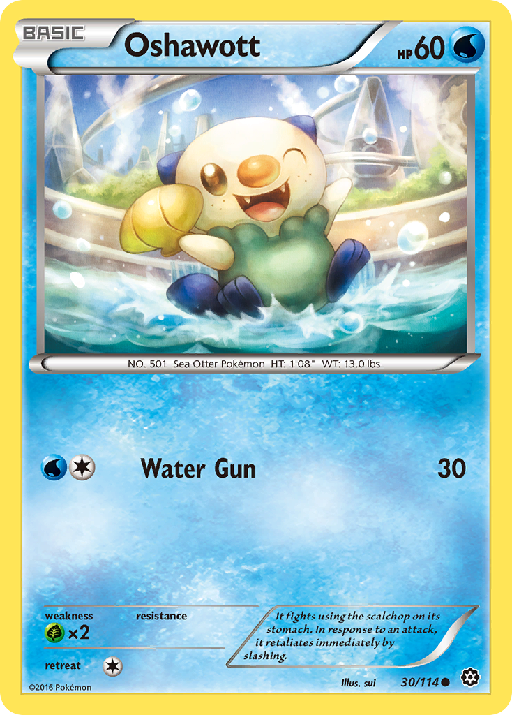 Oshawott (30/114) [XY: Steam Siege] | Card Merchant Takapuna