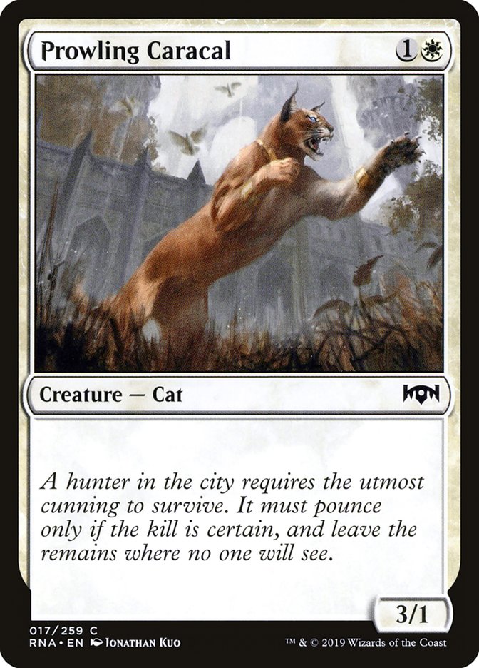 Prowling Caracal [Ravnica Allegiance] | Card Merchant Takapuna